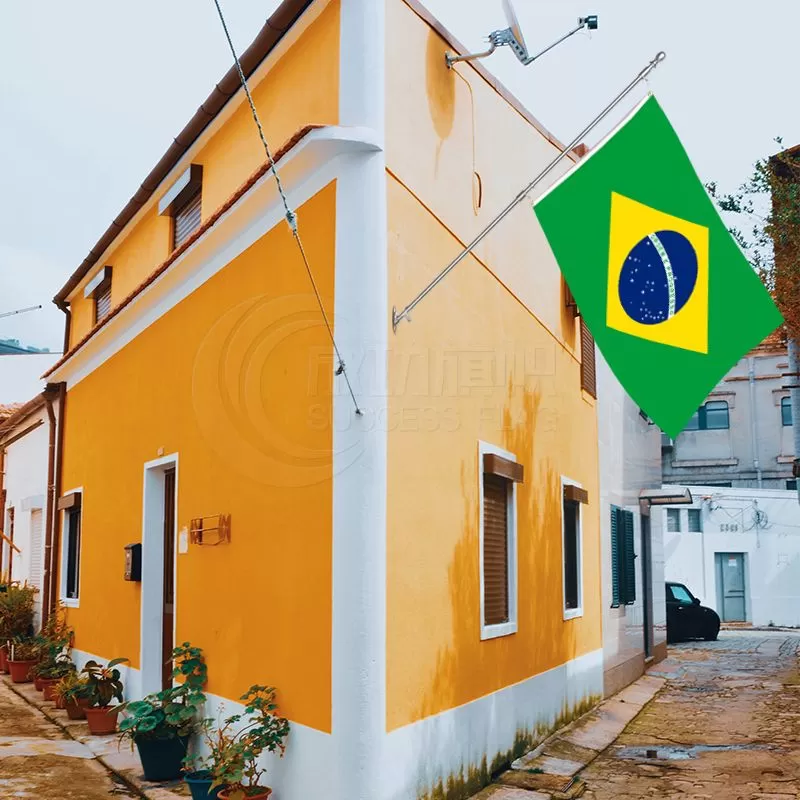 Brazil Flag