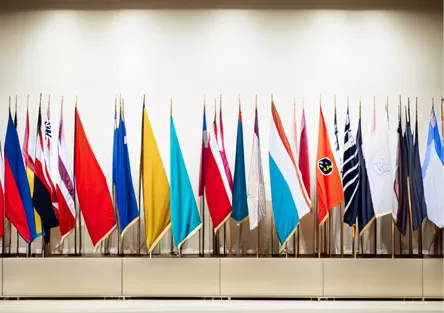 Common Types of Flags Used and Their Purpose