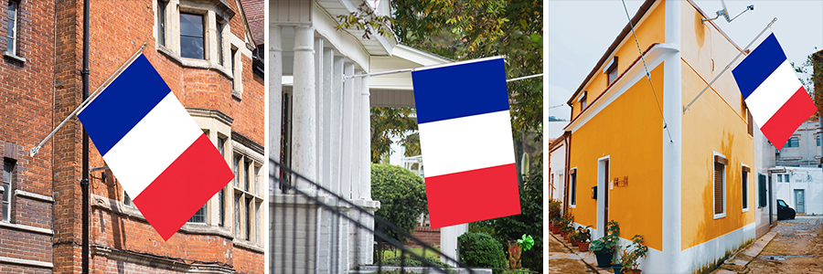 France Flag
